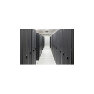 OPT HPE P65098-B21 ML30 Gen11 NS204i-u C