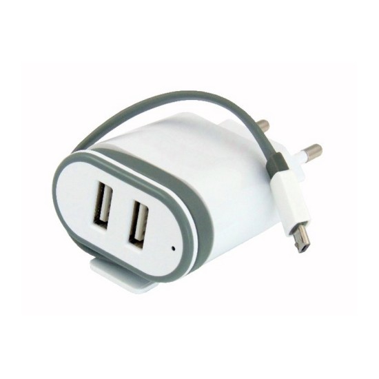 ALIMENTATORE RETE 100-240V 2 USB + MICRO